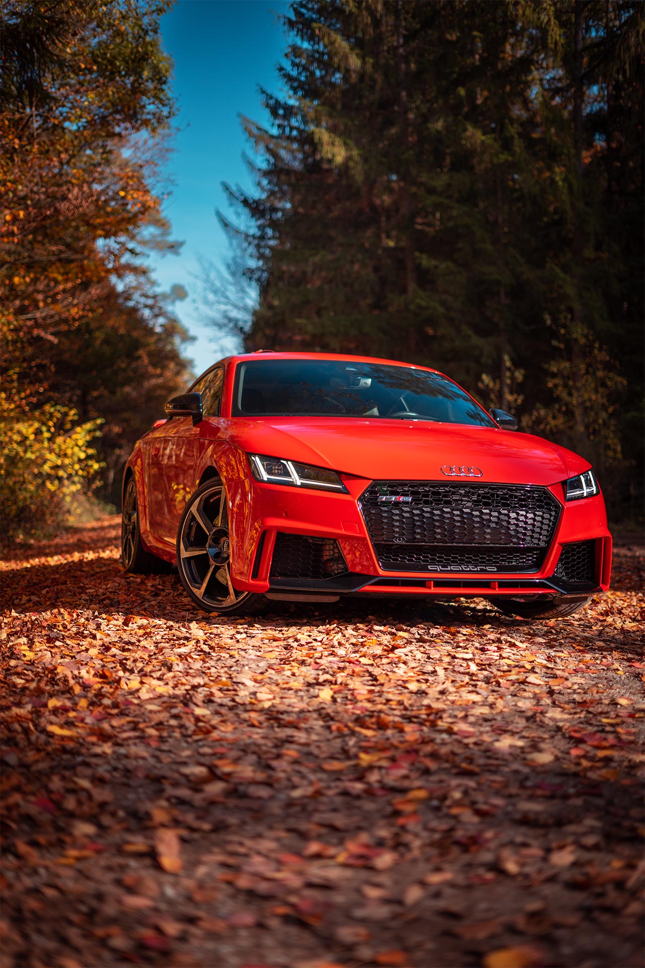 Herbst Shooting - Audi TT RS