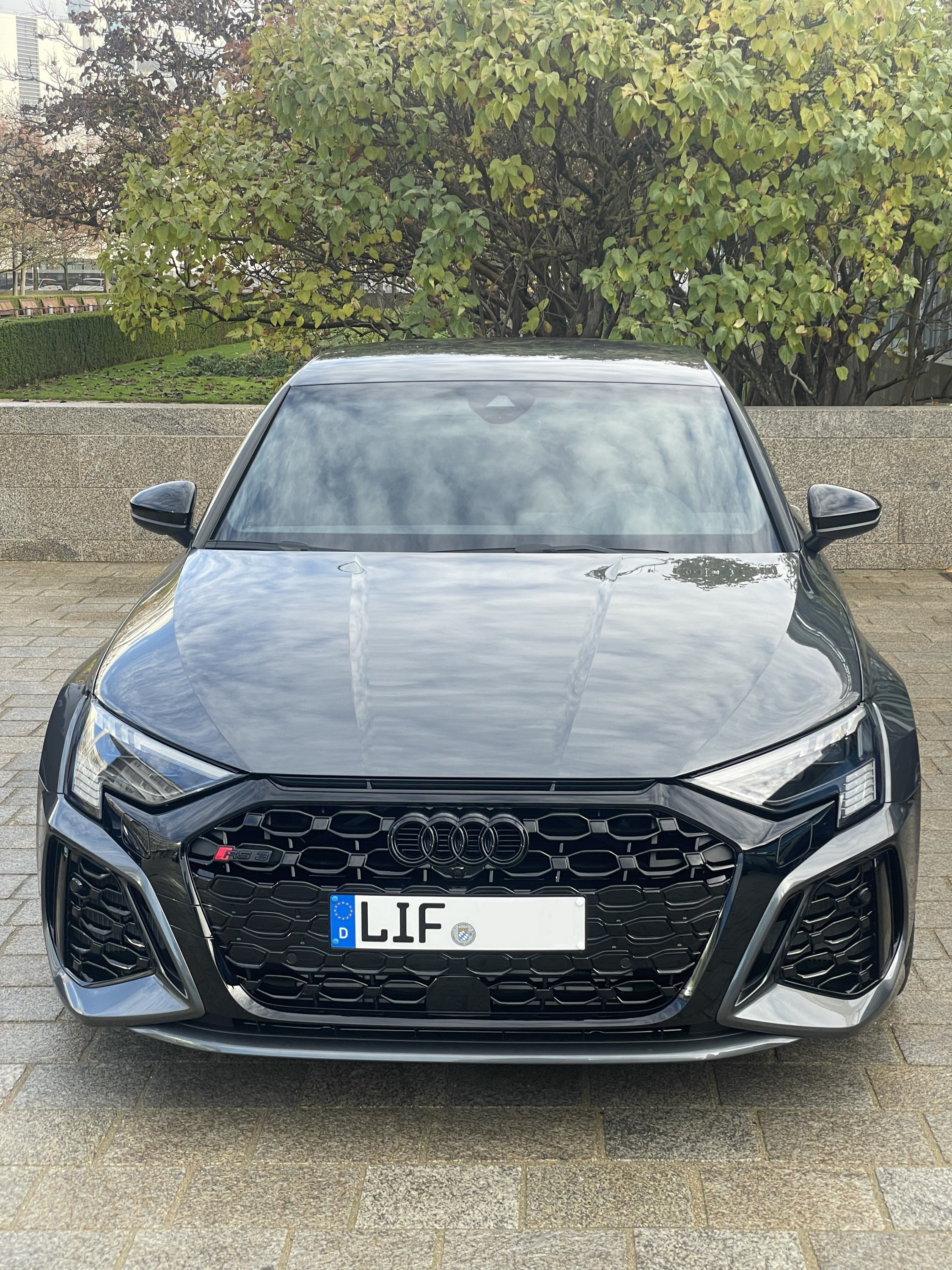 RS3