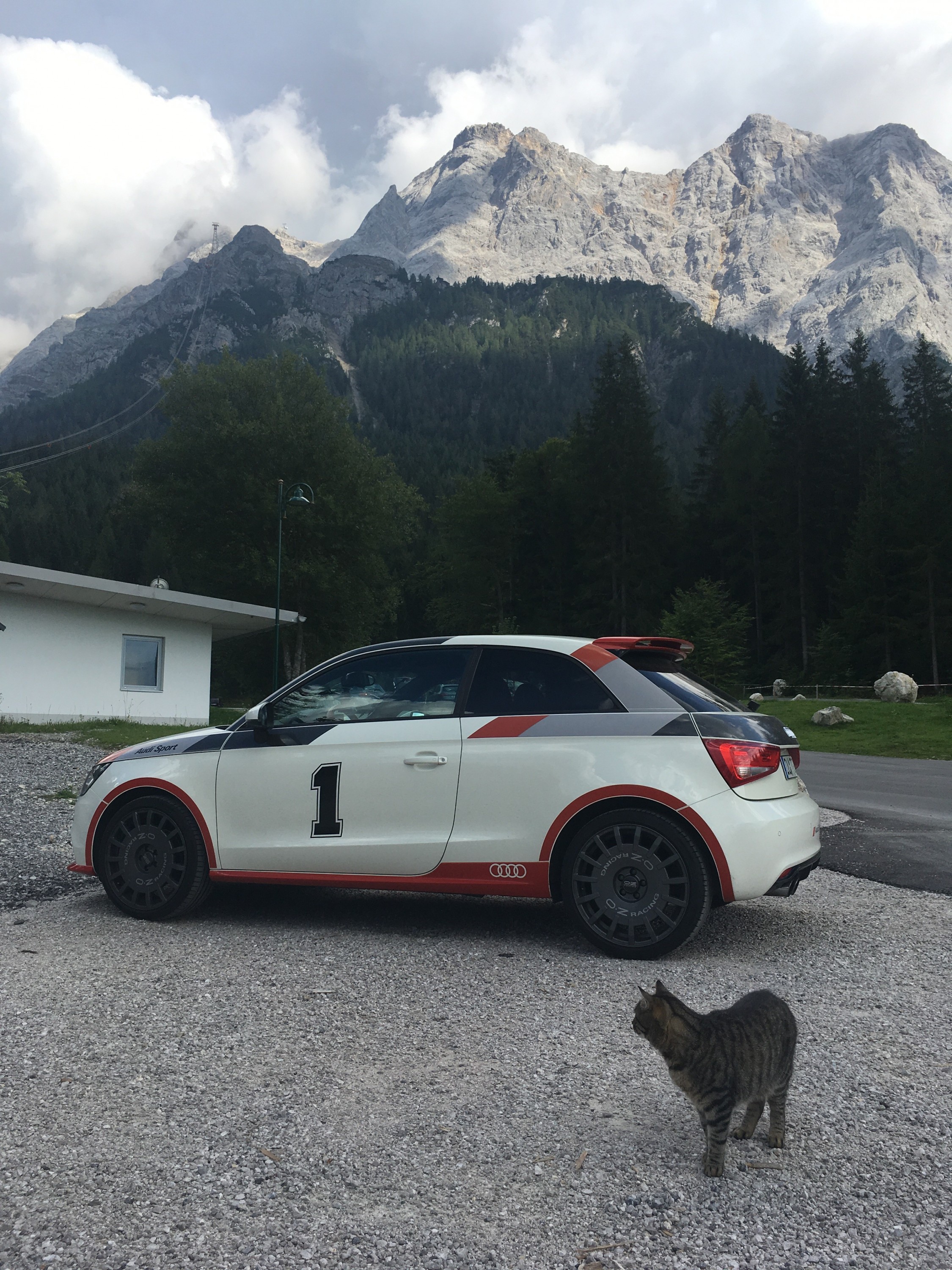 Zugspitze mit Katze